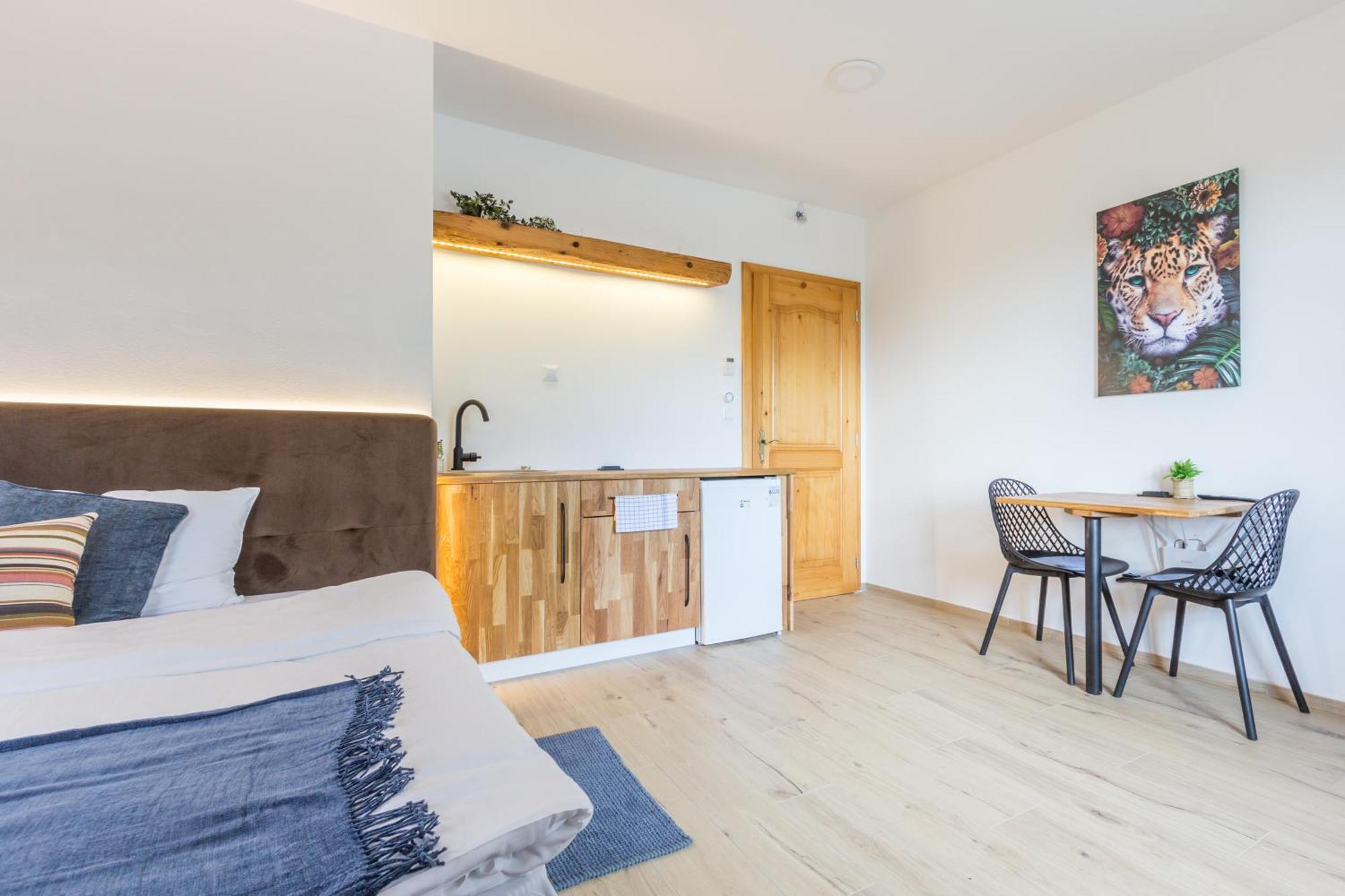 Vilaraj Maribor Chambre photo